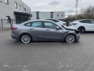 BMW 2-serie 18i Aut Gran Coupe Advantage Panorama picture 20