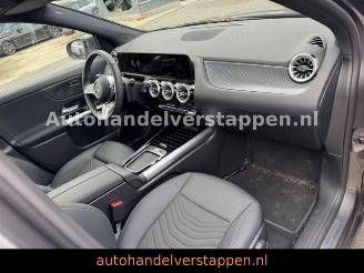 Mercedes EQA 250+ Progressive Facelift picture 23