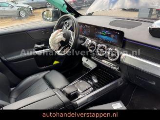 Mercedes EQB 300+ 4Matic 168KW Progressive Panorama FULL picture 18