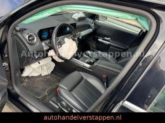 Mercedes EQB 300+ 4Matic 168KW Progressive Panorama FULL picture 25