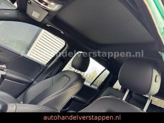 Mercedes EQB 300+ 4Matic 168KW Progressive Panorama FULL picture 24