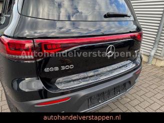 Mercedes EQB 300+ 4Matic 168KW Progressive Panorama FULL picture 5