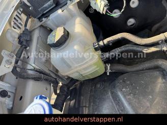 Ford Ranger Wildtrak e-4WD Doppelkabine picture 22