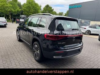 Mercedes EQB 250+ Business Line  71KWH 7Pers Facelift picture 2