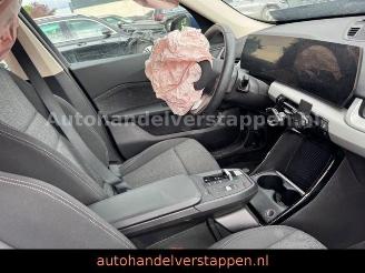 BMW X1 18d sDrive Automatik Live Cockpit Plus NAVI+ picture 12