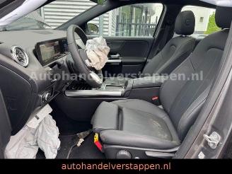 Mercedes EQA 250+ 71KWH LUXURY LINE Pano Burm Facelift picture 27