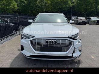 Audi E-tron 55 Quattro Advanced 93KWH picture 5