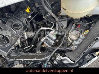 Ford Tourneo Custom 2.0TDCI Titanium X 320 L2 Automat picture 27