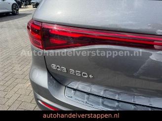 Mercedes EQB 250+ 71KWH Progressive Panorama picture 7