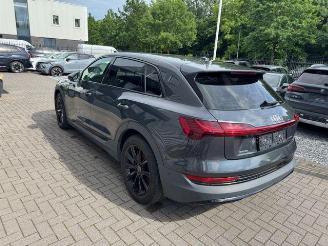 uszkodzony samochody osobowe Audi E-tron 55 Quattro 300KW 93KWH Panorama 2020/2