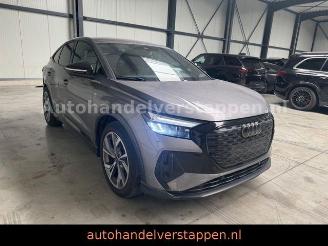  Audi Q4 e-tron 35 Sportback S-Line Sport 125KW 20zoll 2022/9