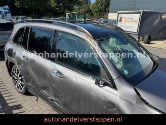 Mercedes EQB 250+ AMG Sport Pano Burm 71KWH VOLL picture 15
