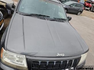 Jeep Grand-cherokee Grand Cherokee (WG/WJ), SUV, 1998 / 2005 2.7 CRD 20V picture 10