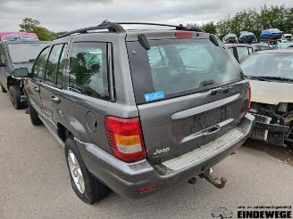 Jeep Grand-cherokee Grand Cherokee (WG/WJ), SUV, 1998 / 2005 2.7 CRD 20V picture 2