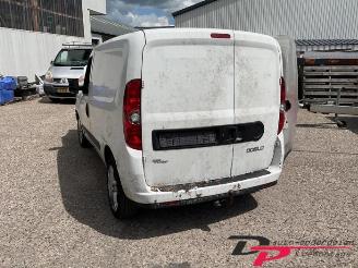 Fiat Doblo Doblo Cargo (263), Van, 2010 1.6 D Multijet picture 3