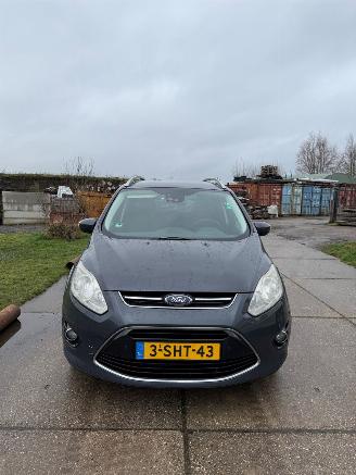 Ford Grand C-Max 1.0 Ti-VCT EcoBoost picture 1