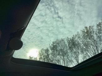 Renault Modus Modus/Grand Modus (JP), MPV, 2004 / 2012 1.2 16V TCE 100 picture 20