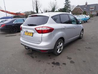 skadebil auto Ford C-Max 1.0 Ti-VCT EcoBoost 2013/1