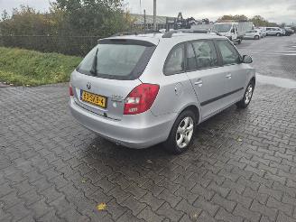 Dezmembrări autoturisme Skoda Fabia Combi 1.2 TDi 2011/10