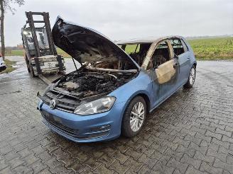 Volkswagen Golf 1.6 TDi picture 3