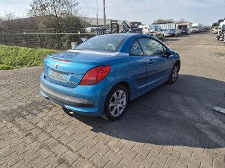 Démontage voiture Peugeot 206 CC 2.0 16v 2004/8