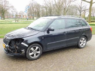 Avarii autoturisme Skoda Fabia 1.2 2010/6