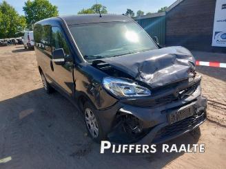 Fiat Doblo Doblo Cargo (263), Van, 2010 1.3 D Multijet picture 10
