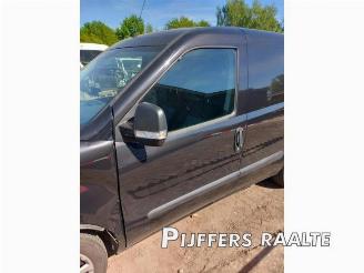 Fiat Doblo Doblo Cargo (263), Van, 2010 1.3 D Multijet picture 12