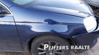 Volkswagen Golf Golf V Variant (1K5), Combi, 2007 / 2009 1.4 TSI 140 16V picture 8