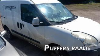 Fiat Doblo Doblo Cargo (263), Van, 2010 1.6 D Multijet picture 4