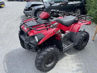 Kawasaki KVF 300  picture 5