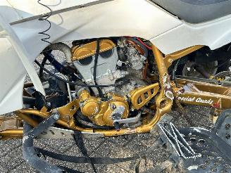 Yamaha YFZ 450 Raptor picture 10