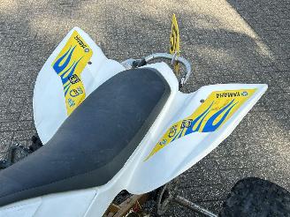 Yamaha YFZ 450 Raptor picture 17
