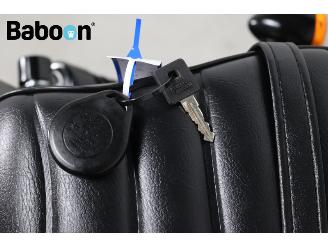 Harley-Davidson XL 883 N Sportster Iron picture 23