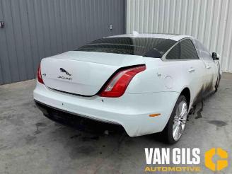 Coche siniestrado Jaguar XJ XJ (X351), Sedan, 2009 / 2019 3.0 D V6 24V 2017/6