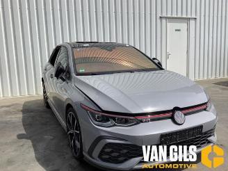 Volkswagen Golf Golf VIII (CD1), Hatchback, 2019 2.0 GTI 16V picture 8