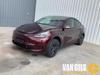 Tesla Model Y Model Y (5YJY), SUV, 2019 / 2025 Long Range RWD picture 3