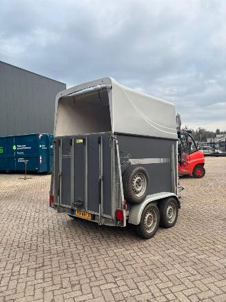 skadebil aanhanger -  Titan Jelsum paardentrailer 2014/10