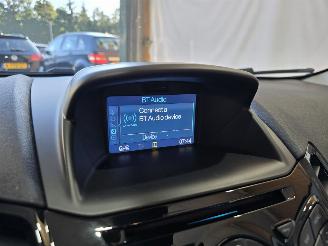 Ford Fiesta 1.0 EcoB. Titanium picture 30