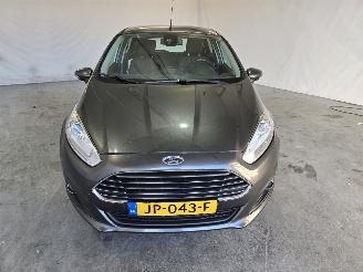 Ford Fiesta 1.0 EcoB. Titanium picture 2