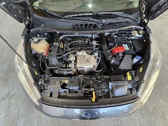 Ford Fiesta 1.0 EcoB. Titanium picture 12