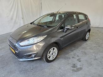 Ford Fiesta 1.0 EcoB. Titanium picture 3