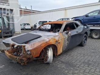 Vrakbiler auto Dodge Challenger Challenger, Coupe, 2007 5.7 Hemi V8 2010/10