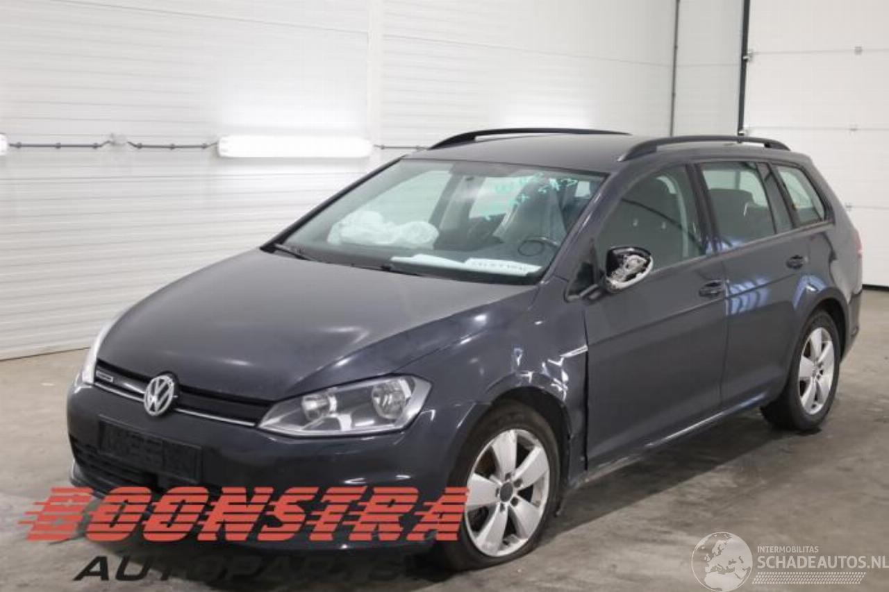 Volkswagen Golf Golf VII Variant (AUVV), Combi, 2013 / 2021 1.4 TGI 16V