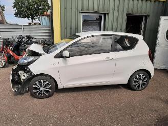 Purkuautot passenger cars Kia Picanto NEW PICANTO 2012/3