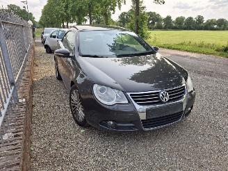 Volkswagen Eos 1.4 picture 4