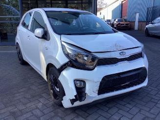 Kia Picanto Picanto (JA), Hatchback, 2017 1.0 12V picture 3