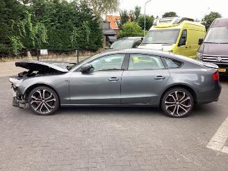 Audi 50 A5 Sportback (8TA), Liftback, 2009 / 2017 2.0 TFSI 16V picture 8