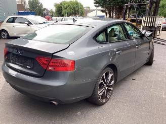 Audi 50 A5 Sportback (8TA), Liftback, 2009 / 2017 2.0 TFSI 16V picture 5