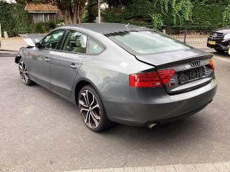 Audi 50 A5 Sportback (8TA), Liftback, 2009 / 2017 2.0 TFSI 16V picture 7